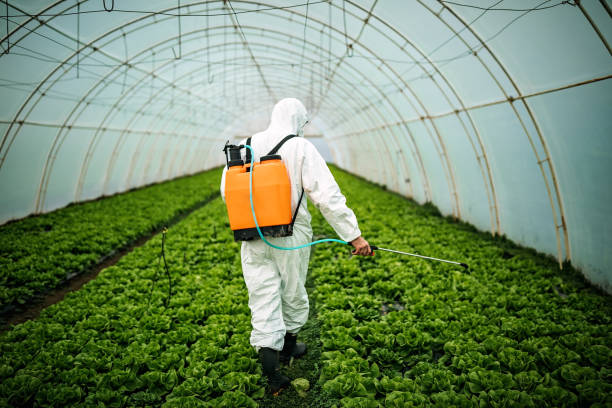 Best Best Pest Control Companies  in Selma, TX
