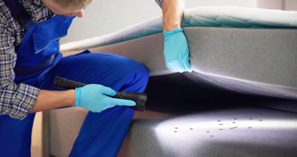 Trusted Selma, TX Pest Control Experts