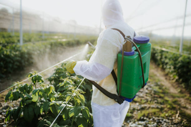 Best Commercial Pest Control Services  in Selma, TX